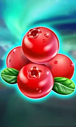 Winterberries